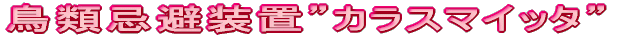 ���ފ��𑕒u�h�J���X�}�C�b�^�h